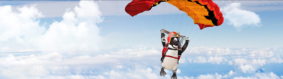 Percy Penguin sky diving